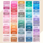 Personalized Minky Blanket Color Options