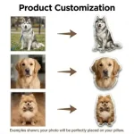 Die-Cut Photo Pillow from Your Picture