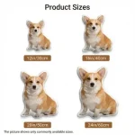 Personalized Pet Photo Pillow